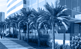 Empreendimentos Soliedo